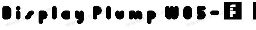 Display Plump W05字体转换